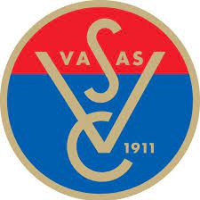 VASAS AKADEMIA BUDAPEST Team Logo